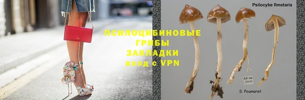 mdpv Михайловск