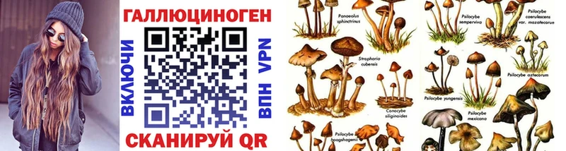купить  сайты  Урус-Мартан  Галлюциногенные грибы MAGIC MUSHROOMS 