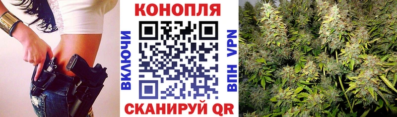 закладки  ссылка на мегу как войти  Бошки марихуана сатива  Урус-Мартан 