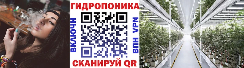 Шишки марихуана марихуана Урус-Мартан